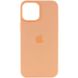 Чохол Silicone case (AAA) full with Magsafe and Animation для Apple iPhone 12 Pro / 12 (6.1") 42951 фото 2